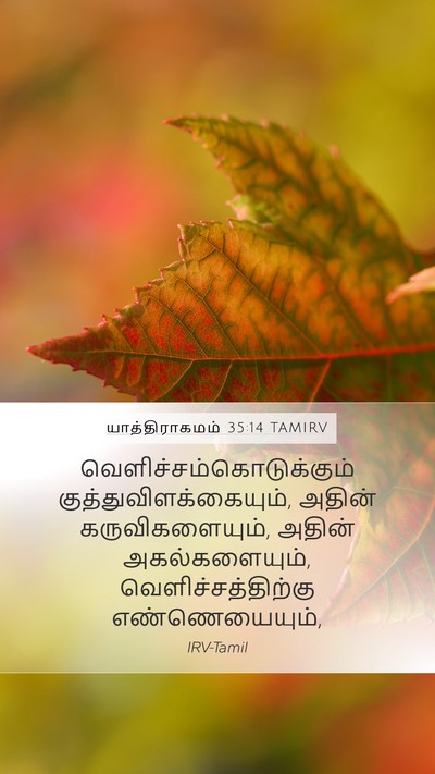 யாத்திராகமம் 35:14 TAMIRV Mobile Phone Wallpaper -  - Mobile Bible Verse Wallpaper