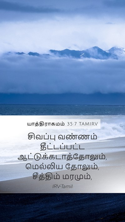 யாத்திராகமம் 35:7 TAMIRV Bible Verse Image