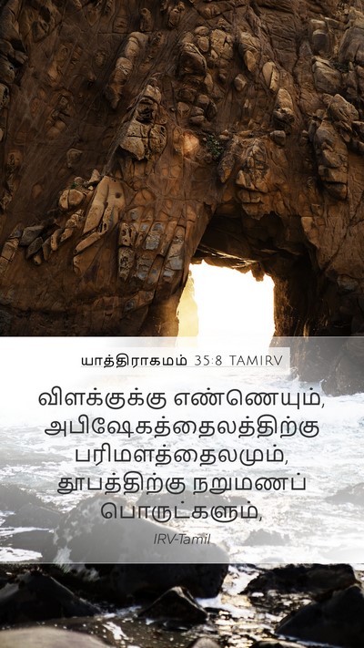 யாத்திராகமம் 35:8 TAMIRV Bible Verse Image