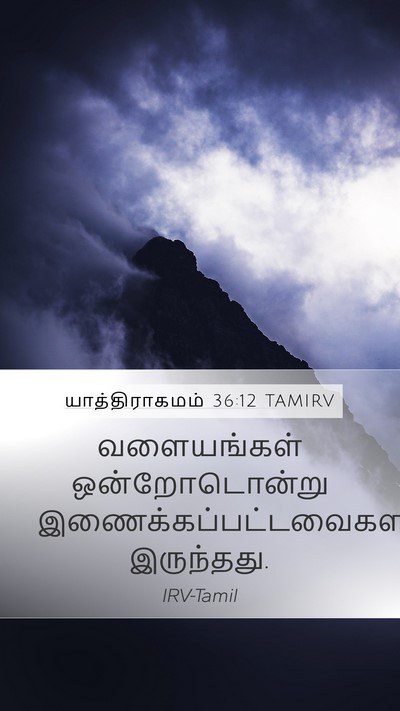 யாத்திராகமம் 36:12 TAMIRV Mobile Phone Wallpaper - வளையங்கள் - Mobile Bible Verse Wallpaper