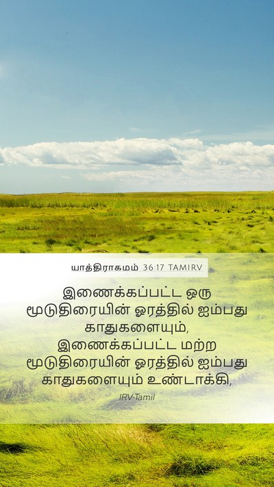 யாத்திராகமம் 36:17 TAMIRV Bible Verse Image