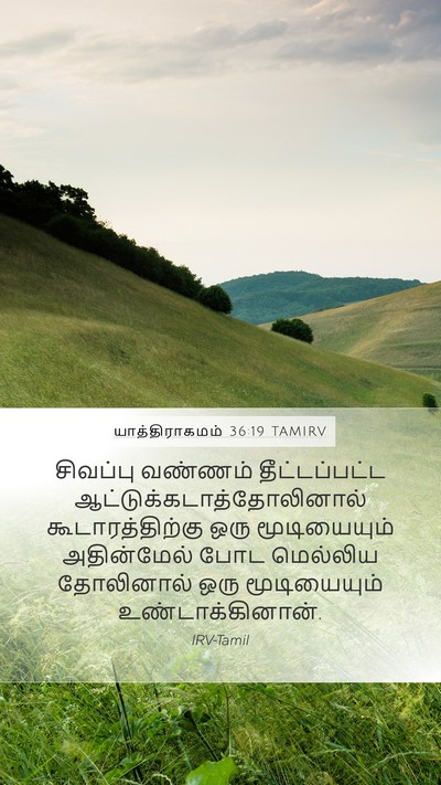 யாத்திராகமம் 36:19 TAMIRV Bible Verse Image