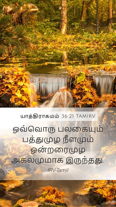 யாத்திராகமம் 36:21 TAMIRV Mobile Phone Wallpaper - ஒவ்வொரு பலகையும் - Mobile Bible Verse Wallpaper