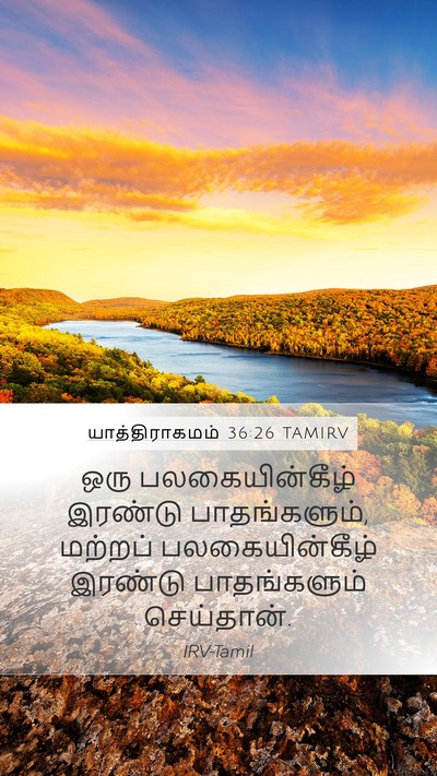 யாத்திராகமம் 36:26 TAMIRV Mobile Phone Wallpaper - ஒரு பலகையின்கீழ் - Mobile Bible Verse Wallpaper