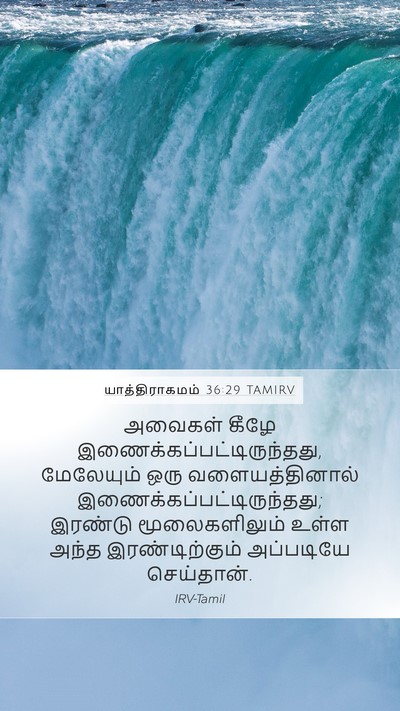 யாத்திராகமம் 36:29 TAMIRV Bible Verse Image