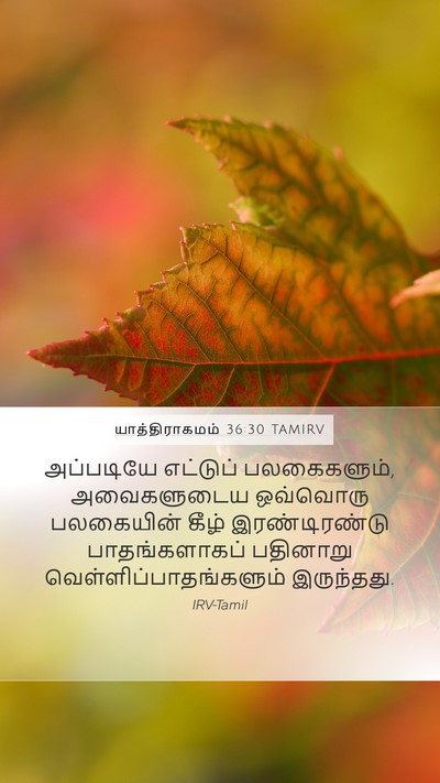 யாத்திராகமம் 36:30 TAMIRV Mobile Phone Wallpaper - அப்படியே எட்டுப் - Mobile Bible Verse Wallpaper
