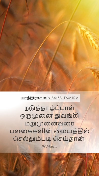 யாத்திராகமம் 36:33 TAMIRV Mobile Phone Wallpaper - நடுத்தாழ்ப்பாள் - Mobile Bible Verse Wallpaper