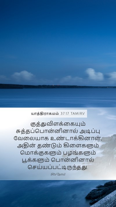 யாத்திராகமம் 37:17 TAMIRV Bible Verse Image