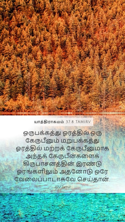 யாத்திராகமம் 37:8 TAMIRV Mobile Phone Wallpaper - ஒருபக்கத்து - Mobile Bible Verse Wallpaper