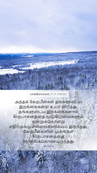 யாத்திராகமம் 37:9 TAMIRV Bible Verse Image