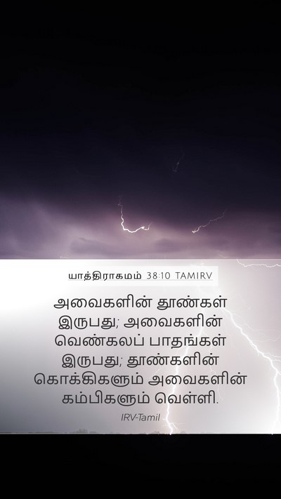 யாத்திராகமம் 38:10 TAMIRV Mobile Phone Wallpaper - அவைகளின் தூண்கள் - Mobile Bible Verse Wallpaper