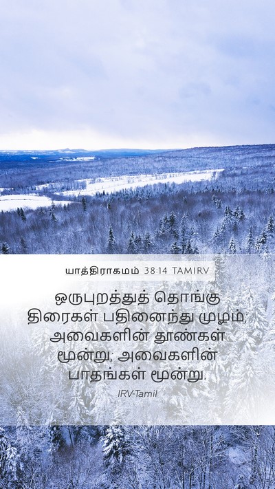 யாத்திராகமம் 38:14 TAMIRV Mobile Phone Wallpaper - ஒருபுறத்துத் - Mobile Bible Verse Wallpaper