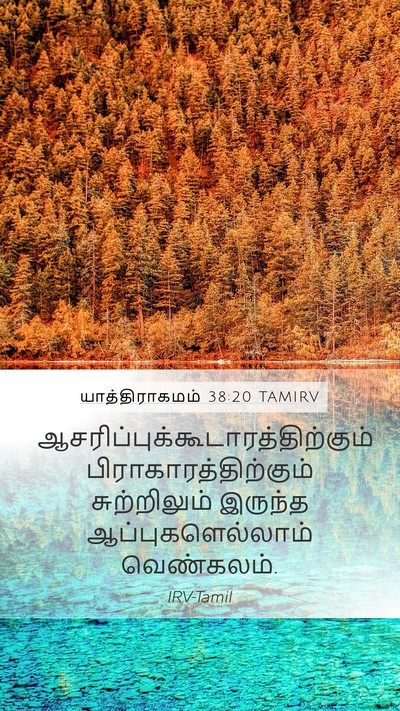 யாத்திராகமம் 38:20 TAMIRV Bible Verse Image