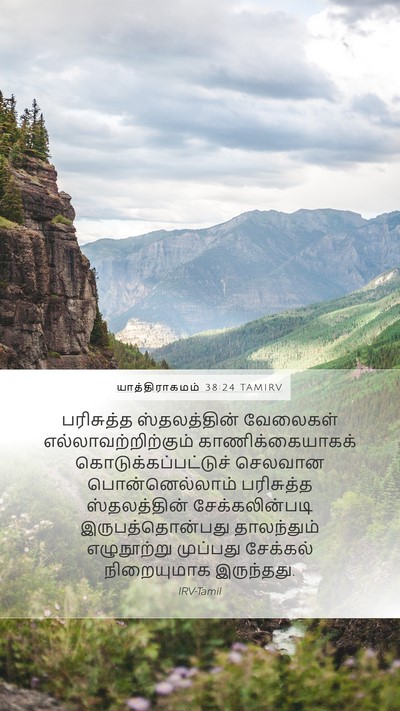யாத்திராகமம் 38:24 TAMIRV Bible Verse Image