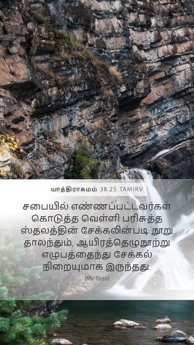 யாத்திராகமம் 38:25 TAMIRV Bible Verse Image