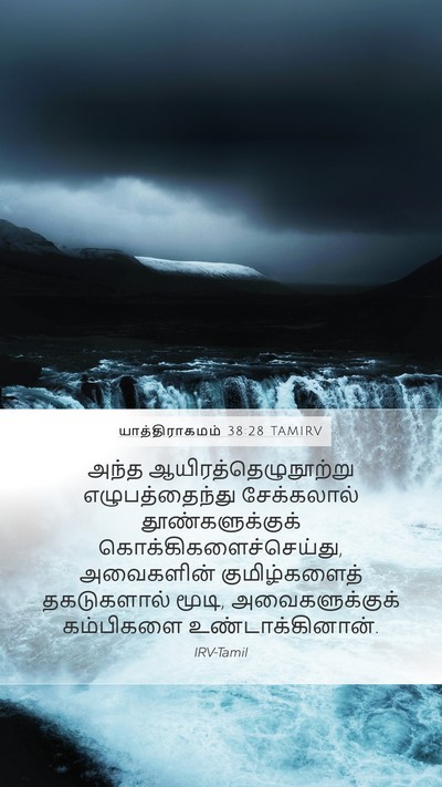 யாத்திராகமம் 38:28 TAMIRV Bible Verse Image
