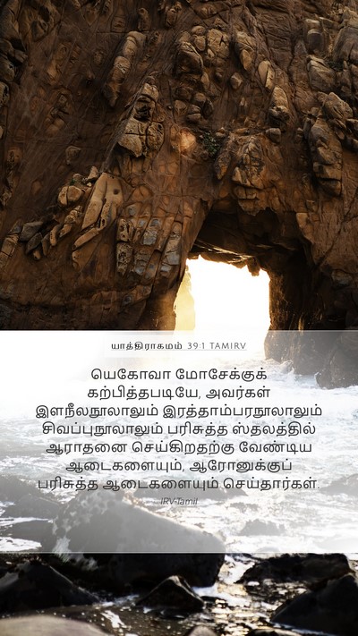 யாத்திராகமம் 39:1 TAMIRV Bible Verse Image