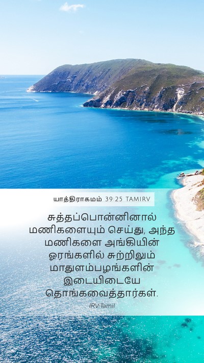 யாத்திராகமம் 39:25 TAMIRV Mobile Phone Wallpaper -  - Mobile Bible Verse Wallpaper