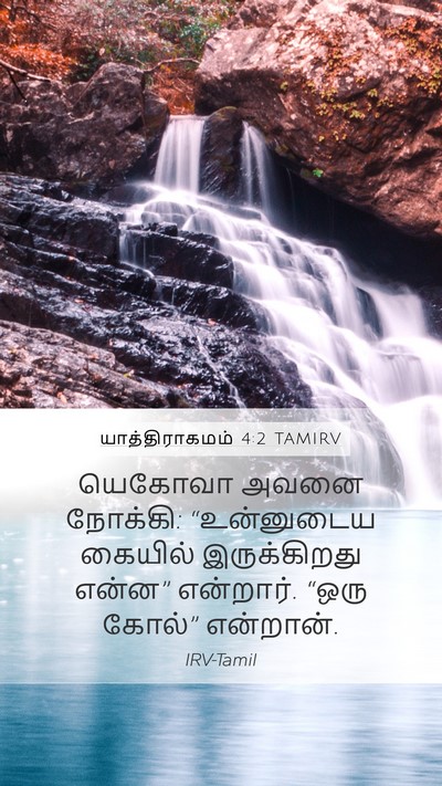 யாத்திராகமம் 4:2 TAMIRV Bible Verse Image
