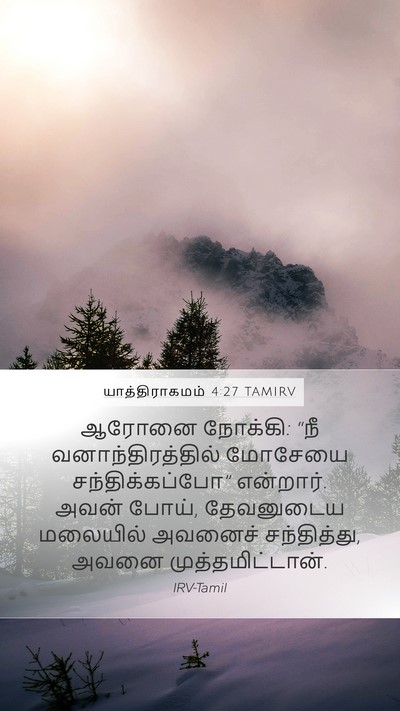 யாத்திராகமம் 4:27 TAMIRV Bible Verse Image