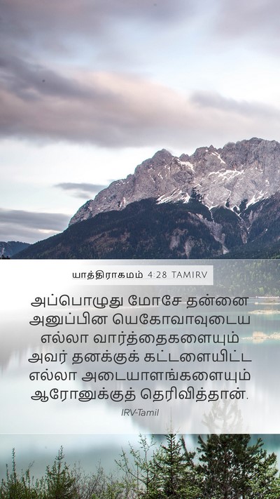 யாத்திராகமம் 4:28 TAMIRV Mobile Phone Wallpaper - அப்பொழுது மோசே - Mobile Bible Verse Wallpaper
