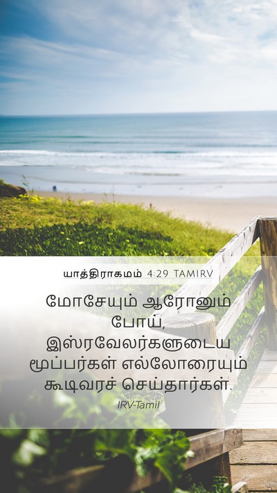 யாத்திராகமம் 4:29 TAMIRV Bible Verse Image