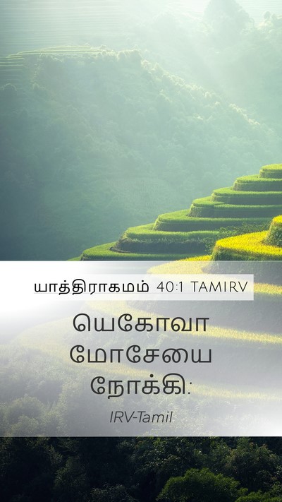 யாத்திராகமம் 40:1 TAMIRV Mobile Phone Wallpaper - யெகோவா மோசேயை - Mobile Bible Verse Wallpaper