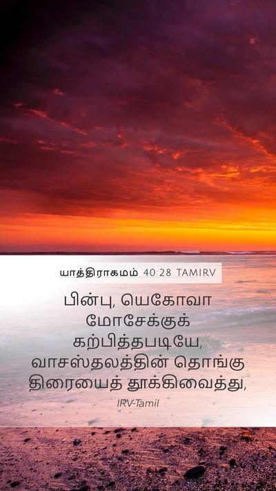 யாத்திராகமம் 40:28 TAMIRV Bible Verse Image
