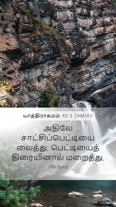 யாத்திராகமம் 40:3 TAMIRV Bible Verse Image