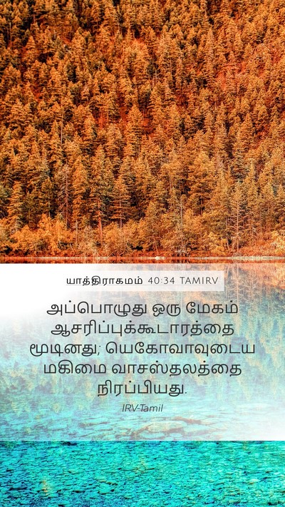 யாத்திராகமம் 40:34 TAMIRV Bible Verse Image