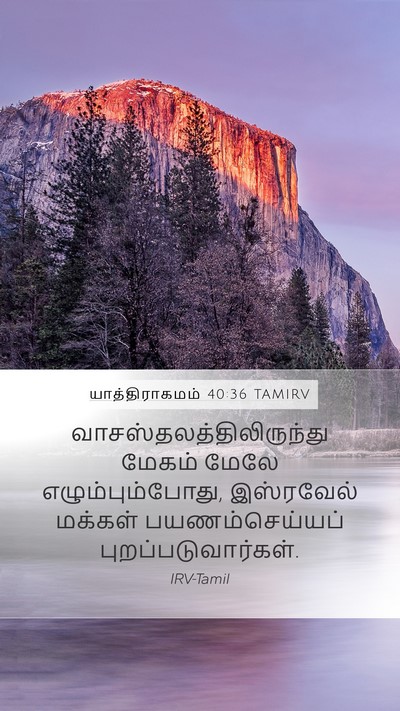 யாத்திராகமம் 40:36 TAMIRV Bible Verse Image