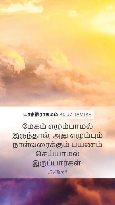 யாத்திராகமம் 40:37 TAMIRV Mobile Phone Wallpaper - மேகம் எழும்பாமல் - Mobile Bible Verse Wallpaper