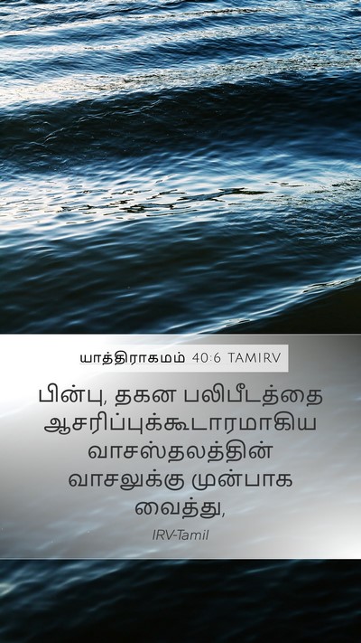 யாத்திராகமம் 40:6 TAMIRV Bible Verse Image
