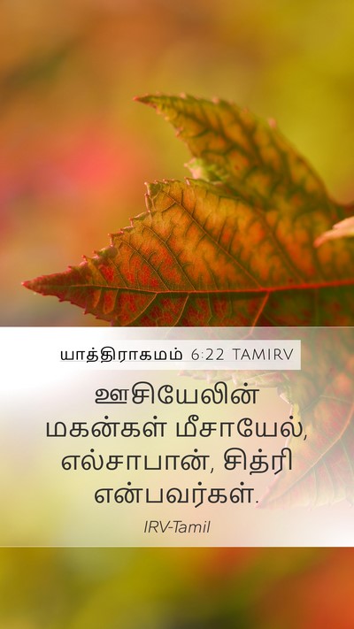 யாத்திராகமம் 6:22 TAMIRV Bible Verse Image