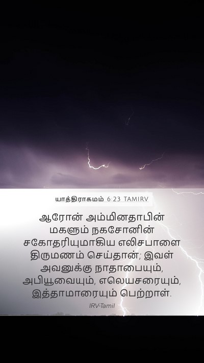யாத்திராகமம் 6:23 TAMIRV Bible Verse Image