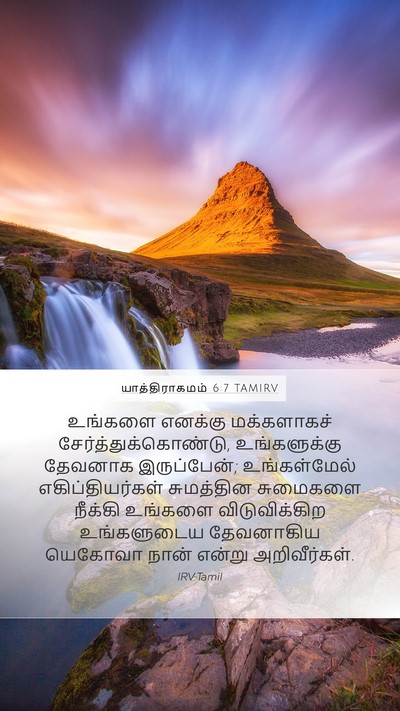 யாத்திராகமம் 6:7 TAMIRV Bible Verse Image
