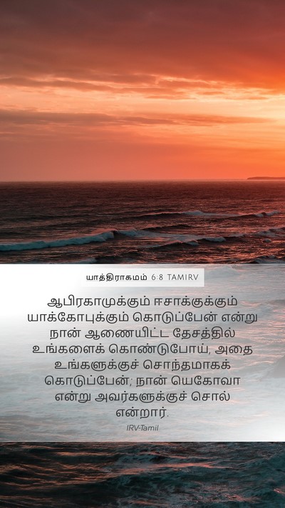 யாத்திராகமம் 6:8 TAMIRV Bible Verse Image