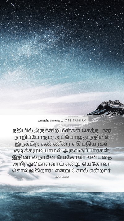 யாத்திராகமம் 7:18 TAMIRV Mobile Phone Wallpaper - நதியில் இருக்கிற - Mobile Bible Verse Wallpaper