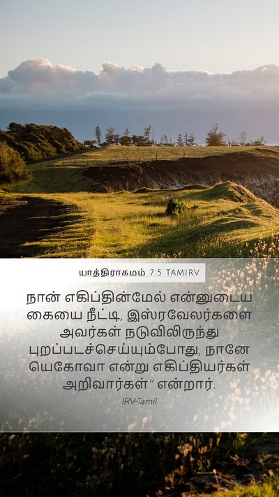 யாத்திராகமம் 7:5 TAMIRV Bible Verse Image