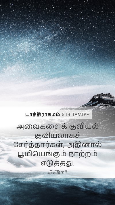 யாத்திராகமம் 8:14 TAMIRV Mobile Phone Wallpaper - அவைகளைக் குவியல் - Mobile Bible Verse Wallpaper
