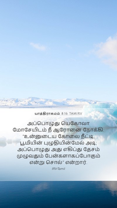 யாத்திராகமம் 8:16 TAMIRV Bible Verse Image
