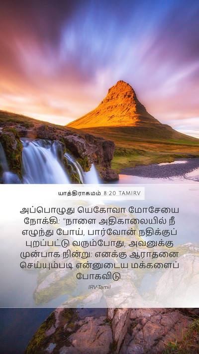 யாத்திராகமம் 8:20 TAMIRV Bible Verse Image