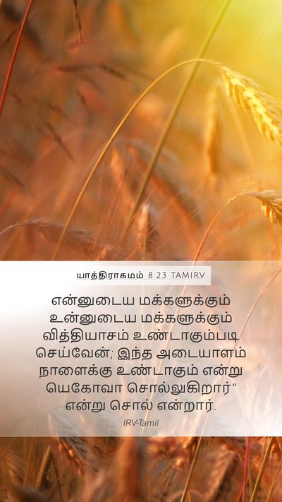 யாத்திராகமம் 8:23 TAMIRV Bible Verse Image