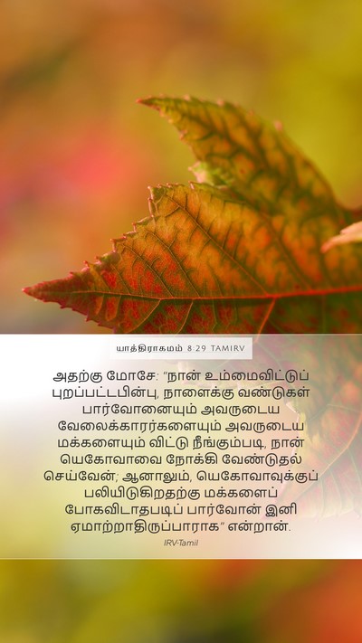 யாத்திராகமம் 8:29 TAMIRV Bible Verse Image