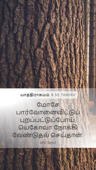 யாத்திராகமம் 8:30 TAMIRV Mobile Phone Wallpaper - மோசே - Mobile Bible Verse Wallpaper