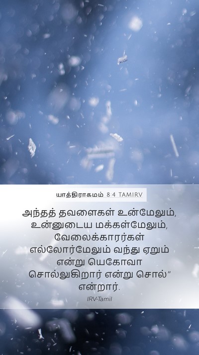 யாத்திராகமம் 8:4 TAMIRV Mobile Phone Wallpaper - அந்தத் தவளைகள் - Mobile Bible Verse Wallpaper