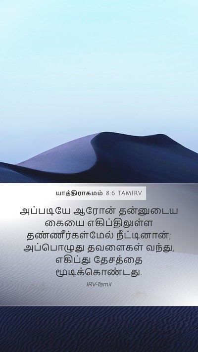 யாத்திராகமம் 8:6 TAMIRV Mobile Phone Wallpaper - அப்படியே ஆரோன் - Mobile Bible Verse Wallpaper