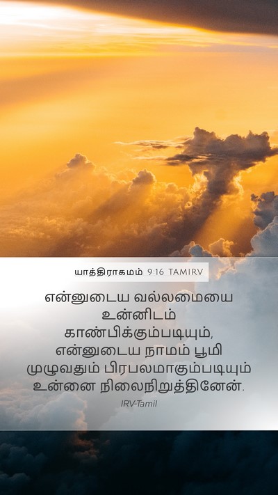 யாத்திராகமம் 9:16 TAMIRV Bible Verse Image