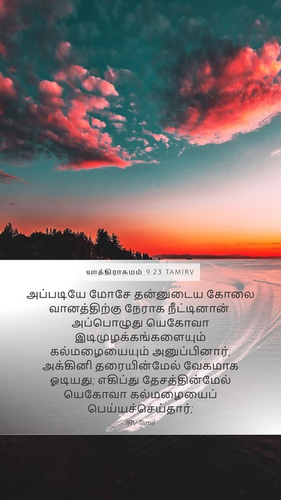 யாத்திராகமம் 9:23 TAMIRV Bible Verse Image