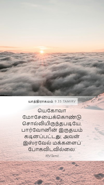 யாத்திராகமம் 9:35 TAMIRV Bible Verse Image